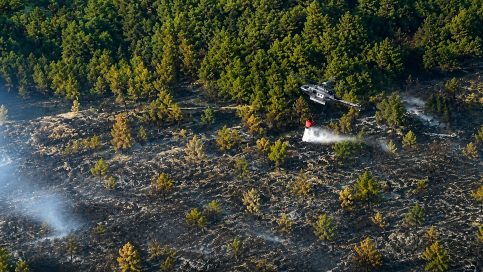 OFICIAL: Desciende a Nivel 0 el incendio declarado en Riofrío del Llano
