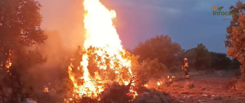 Los medios aéreos vuelven a incorporarse al incendio de El Recuenco