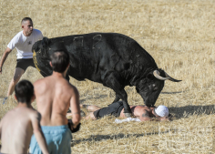 Secuencia: Tremendo susto en la corrida por el campo de Brihuega