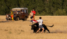 Marchamalo afronta el fin de semana grande de sus fiestas con toros y música