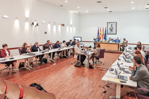 Aprobación definitiva de la ordenanza para transformar locales en viviendas en Guadalajara