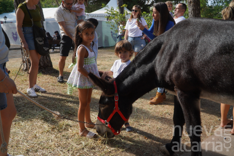 Los niños pudieron conocer de cerca a los burros