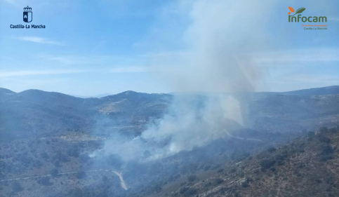 Controlado el incendio de El Cardoso