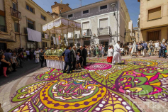 Alfombras de Serrín: el arte de tres horas  que ha llevado a Elche de la Sierra al mundo