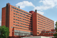 Herido de bala  un cazador en Fuentenovilla