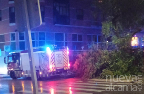 El viento y la lluvia derriban un árbol en el Parque de la Concordia