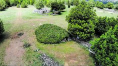 La Comarca de Molina de Aragón-Alto Tajo rehabilita sus chozones sabineros para recuperar su patrimonio etnográficoturístico