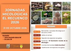 El Recuenco celebrará sus Jornadas Micológicas el 31 de octubre