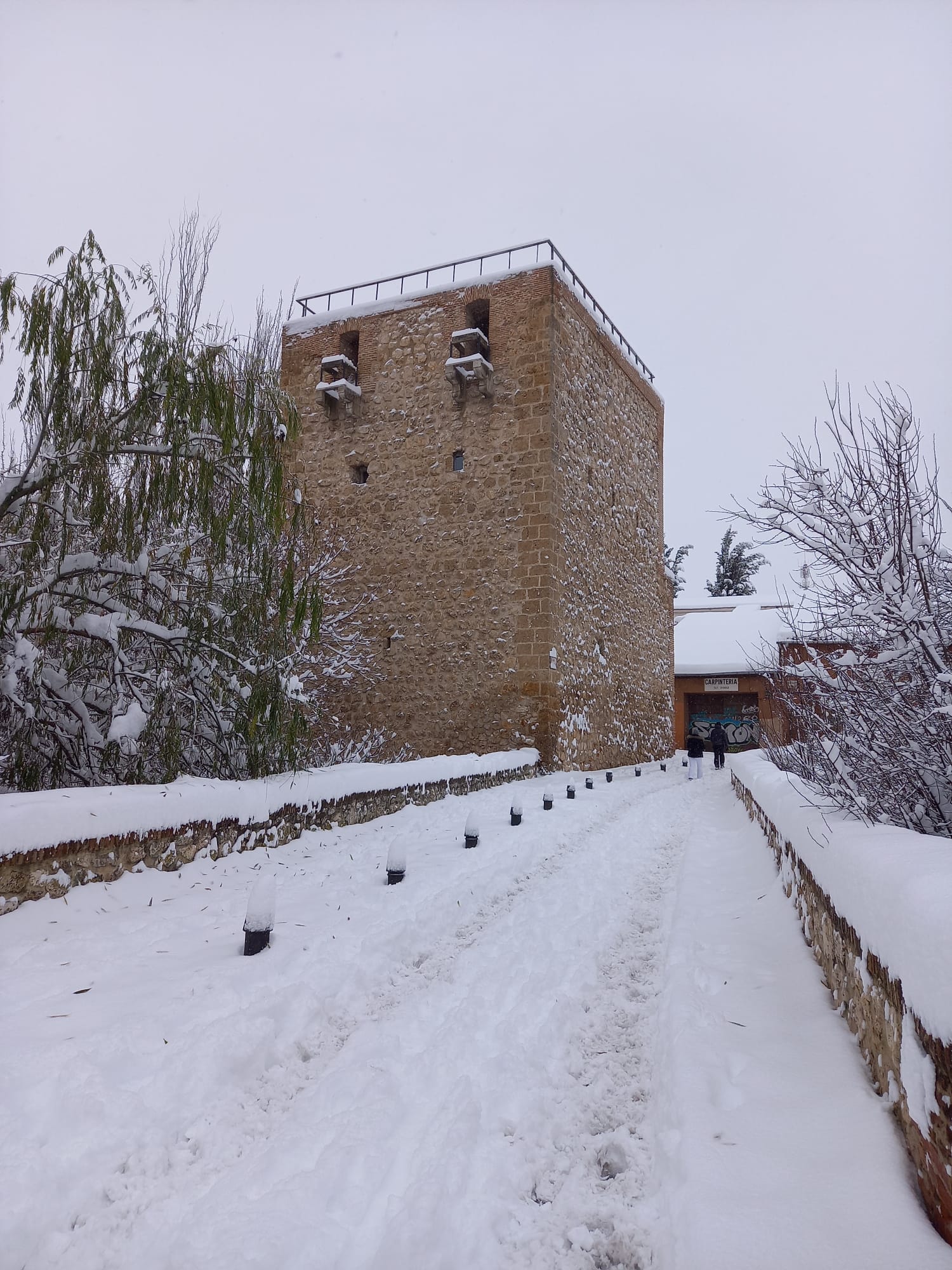 Nieve en el Torreón del Alamin